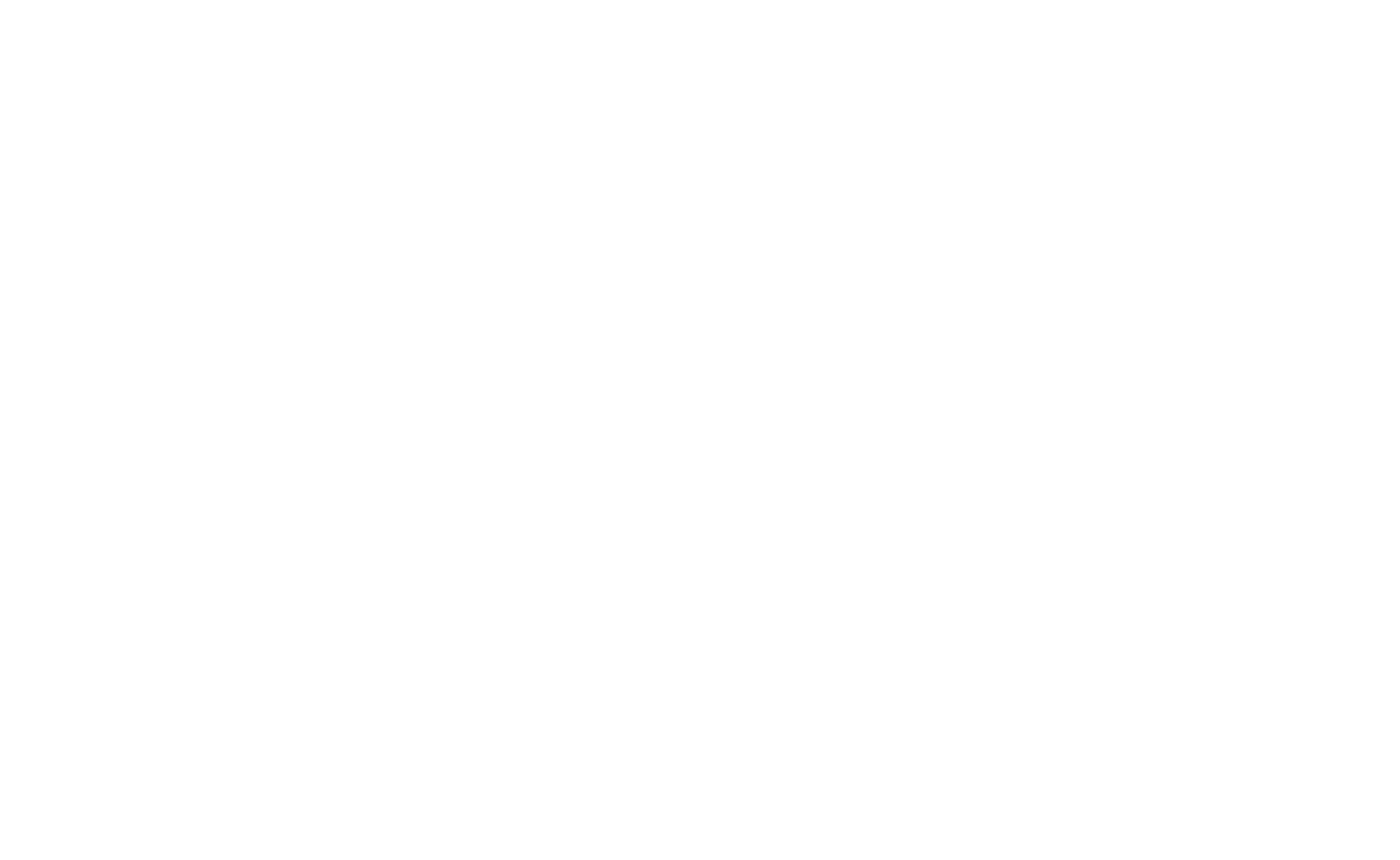 Black Hornet Racing Logo