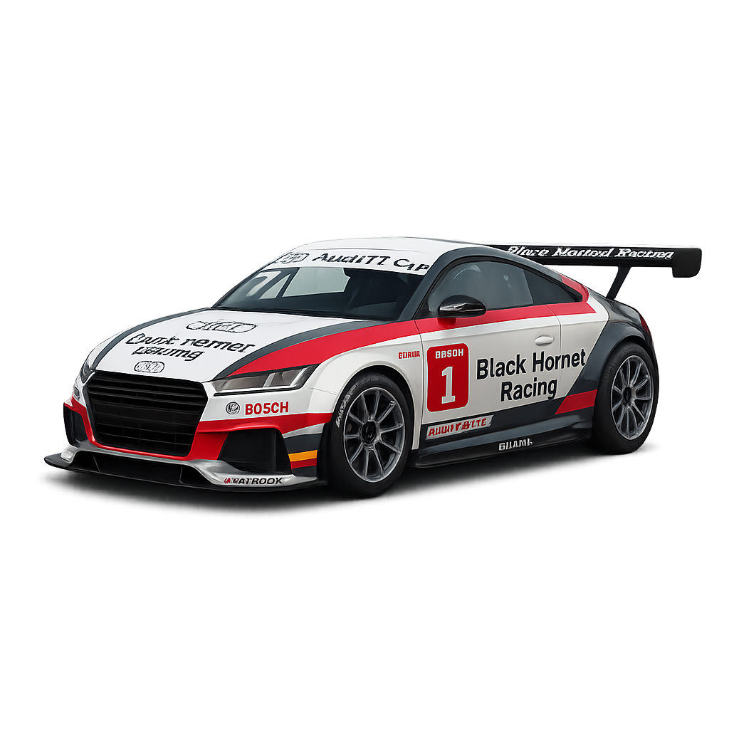 Audi TT cup 2015