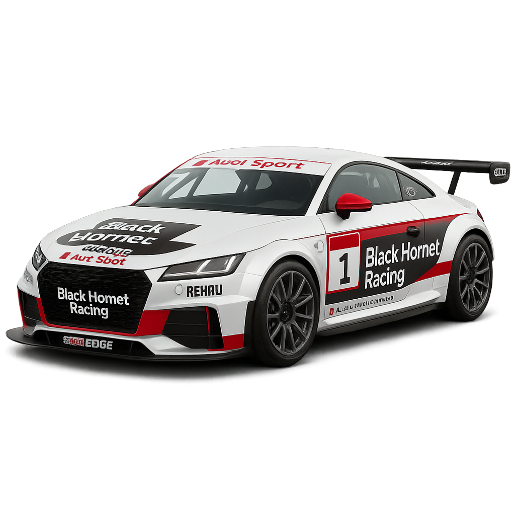 Audi TT cup 2016